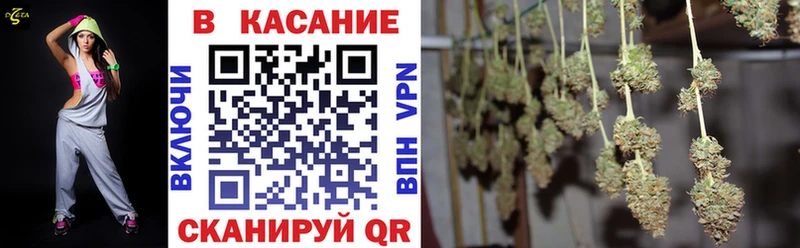 Где купить Волгореченск Галлюциногенные грибы 